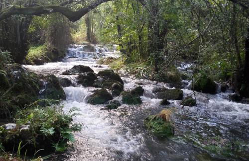 Bajo Los Tilos - Foto 43