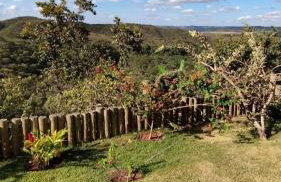 Chácara Recanto Vista Verde - 20 minutos do Plano Piloto - Foto 63