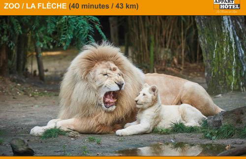 APPART'HÔTEL Les Prés Blondeau, 1 à 10 personnes, 3 chambres, Terrasse, Parking privé, Wifi, Arrivée autonome 24-7 - Photo 34