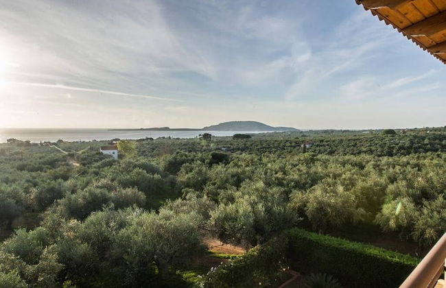 Seaview Flat In An Olive Grove By The Beach - Foto 12