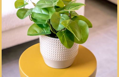 Le Dessaix I Studio I Thonon-les-Bains - Foto 27