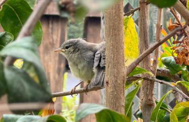 Hayati, Suite Romantica - Foto 11