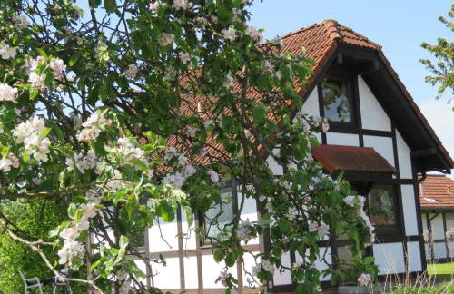 Ferienhaus Deichgraf 65 im Feriend - Photo 29