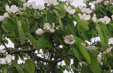 Condrieu et parking voiture vélo 2 ème étage - Foto 55