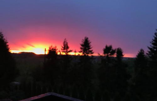 Agroturystyka nad stawami - Foto 18