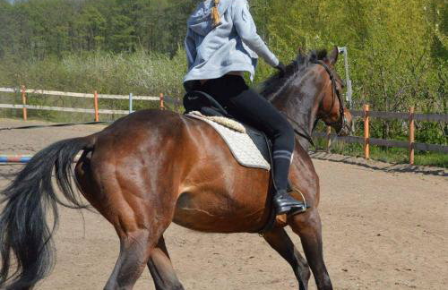 Apartament Nadmorski - Foto 30