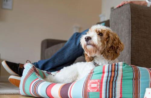 Retallack Resort 4 bedroom lodge - Hot Tub for hire on request -Pool & Spa - Foto 14