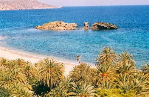 Rosa 's house - Foto 37