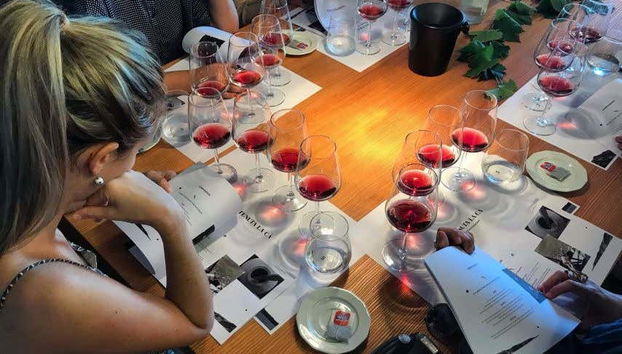 Enjoying the wine tasting in Bardolino