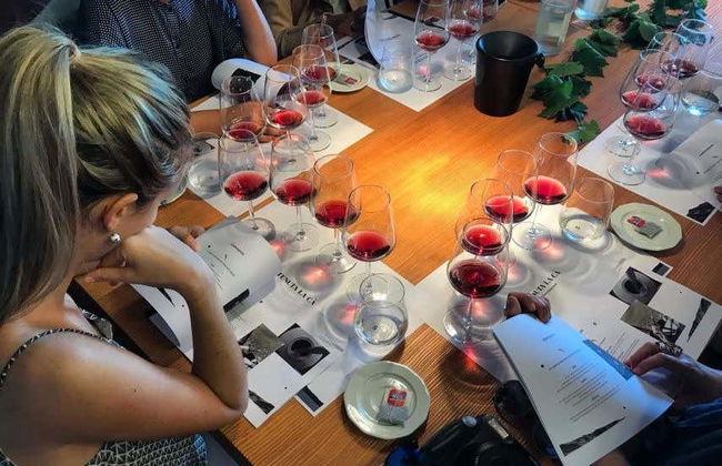 Visita a una cantina di Bardolino - Foto 2