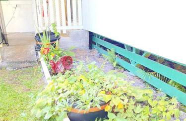 THE HILO HOMEBASE - Charming 3 Bedroom Hilo Home, with AC! - Foto 5