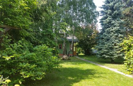 Świnna - Brzozowy Zagajnik - Foto 3