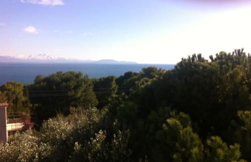 Apartments Aliki - Foto 24