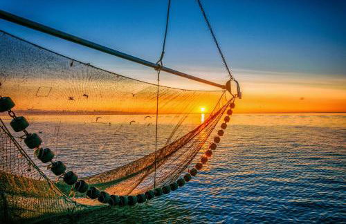 Ferienhaus Küstenkind - Top Lage - Garten eingezäunt - Photo 33