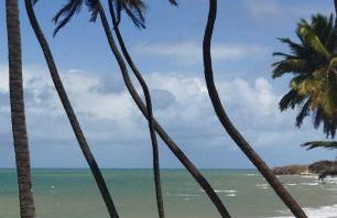 Cabanas Caraúbas - frente para o mar, ar & Tv - Foto 39