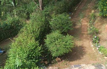 Sítio da Restauração - Photo 38