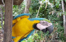 VilaVerin Apartments - Foto 21