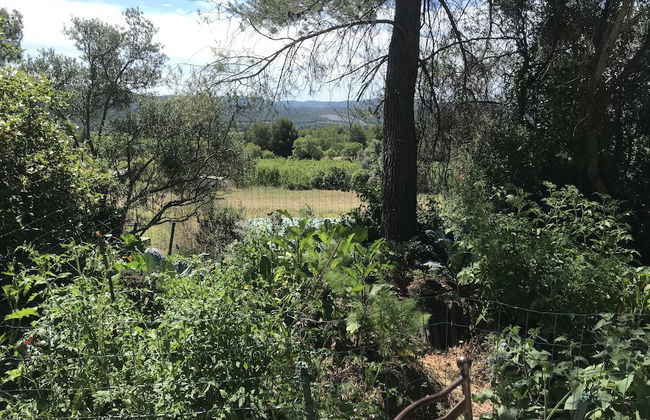 Domaine de la Tuilière - Foto 28