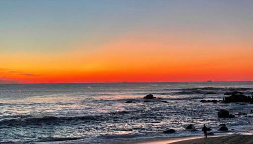 Oporto, sea view and marina - Photo 3