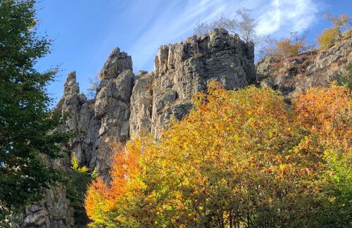 Fachwerkliebe Villa Mia - Foto 40