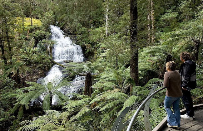 The Boomerangs - Foto 48