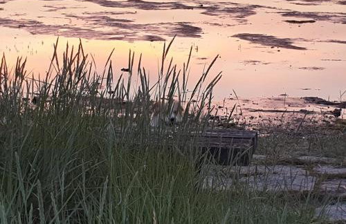 HaRe Ferienwohnungen - Foto 75