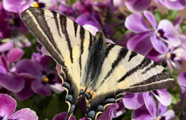 Weingut Amlinger&Sohn - Photo 19