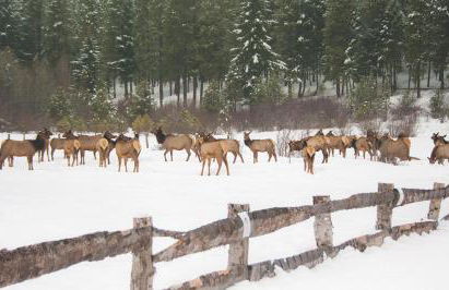 Suncadia Lodge Studio Unit - Foto 22