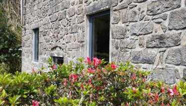 Casa dos Platanos-Family Home - Photo 5