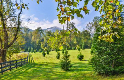 Old Rag Mountain Getaway - WiFi, Smart TV, Fire Pit, Patio, & Full Kitchen - Foto 23