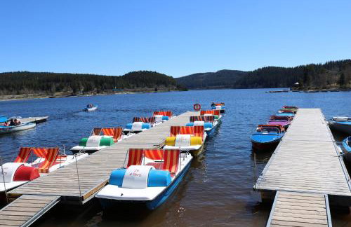 Apartment Caroline - Gemütliche Ferienwohnung mit Pool, Sauna und Hochschwarzwaldcard - Foto 41