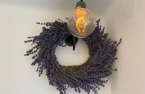 Lawendowa Przystań Sandomierska - Foto 6