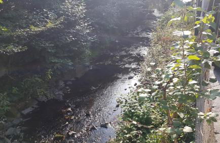 Köster Apartment - Foto 15