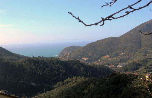 Cottage La Terrazza - Foto 51