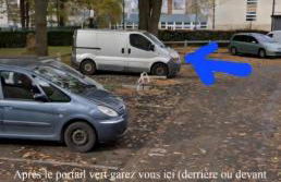 L'harmonie d'Eden Harmony of Eden - Foto 10