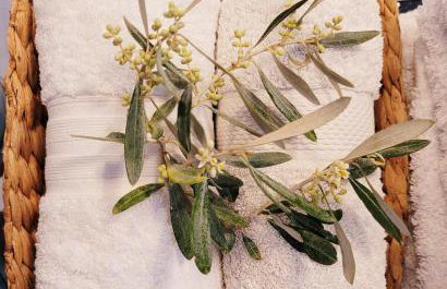 Riviera Paradiso - Foto 9