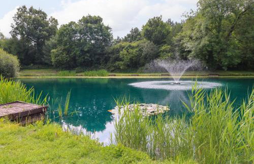 Swan Lodge - Photo 31