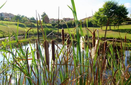 Very nice cottage with studio on a domain with heated pool - Foto 31