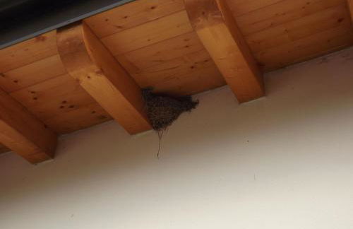 Agriturismo Cascina Rossano - Foto 48