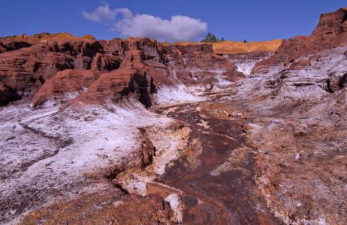 Alojamiento rural Las Alberquillas - Foto 36