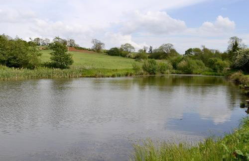 Waggoners Ban - 29579 - Foto 22