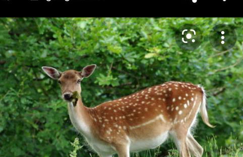 Villa on the Potomac 2BR Villa - Foto 4