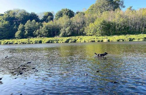 The Stables, charming converted, 2 bedroom Cottage, Melrose - Foto 7