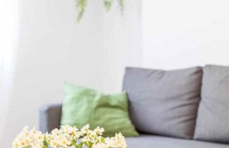 Piso Carolina - Photo 25