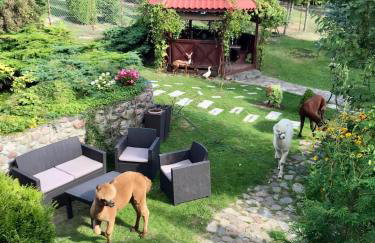 Agroalpaka Mazury - Foto 36