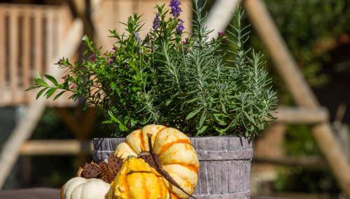 Hörlhof - Chiemgau Karte - Foto 4