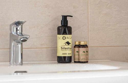 La Atalaya de Xixón By Silastur - Foto 26