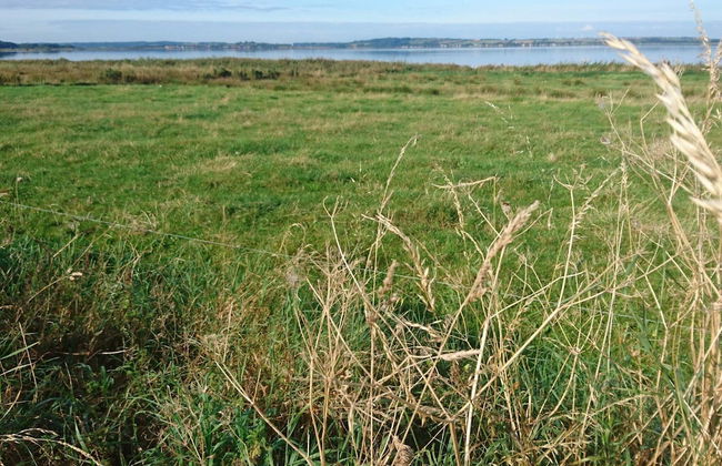 4 Person Holiday Home in Nibe-by Traum - Foto 14