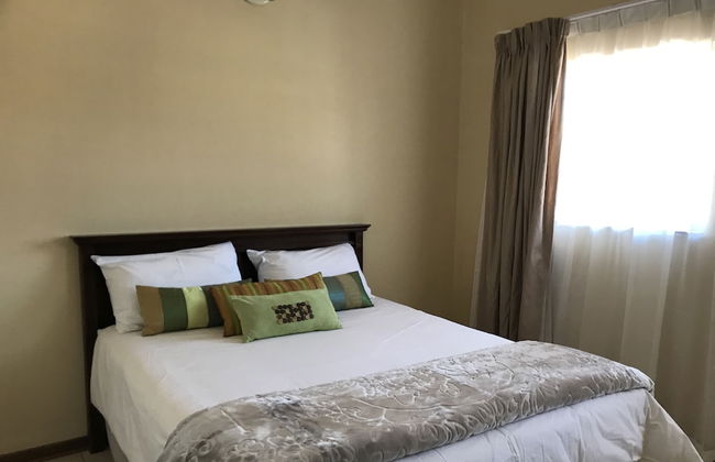 Vintage Palm - Foto 4