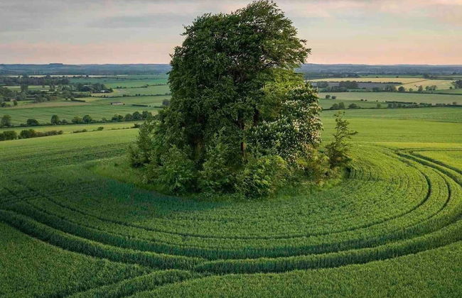 Cottage in Area of Outstanding Natural Beauty - Foto 44